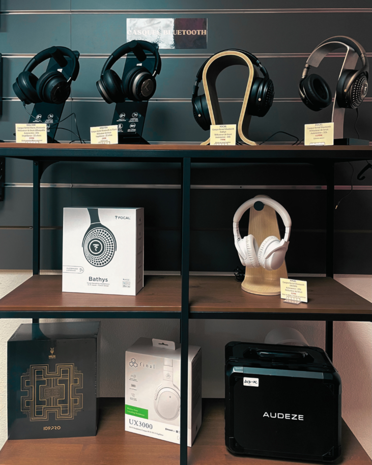 Casque Hi-fi pau 