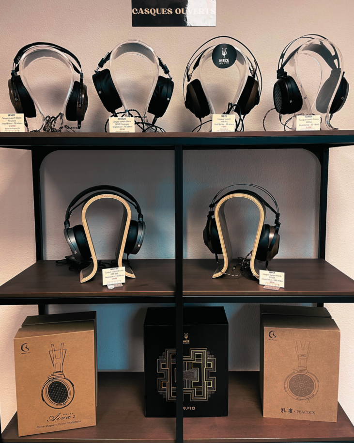 Casque Hi-fi pau 